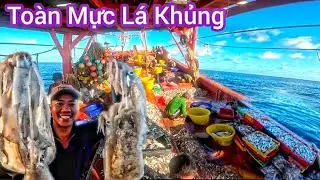 Giả Cào Bay Sáng•Ngư Dân Vô Toàn Mực Lá Khủng Lồ |Nhiên xứ Biển 