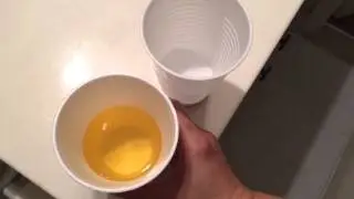Urine Baby Gender Test