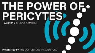 The Power of Pericytes - Dr. Isaura Martins