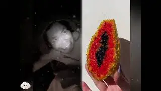 🤣👌👌👌2026 pov Must-Watch Crazy Clips Compilation #humor #fypシ #pov #fyp #foryou 😍😜