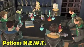 Potions N.E.W.T. Harry Potter Hogwarts Mystery