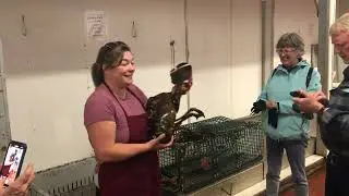 Giant Lobster Tour Nova Scotia