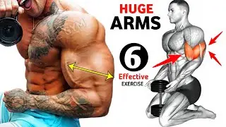 Biceps and Triceps workout at gym ( 6 effective exercises )