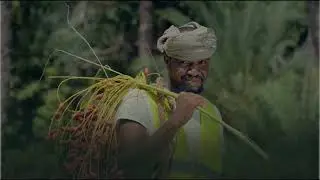 Climate Resilience in Yemen &ndash; The Story of Wadi Hajar Farmers