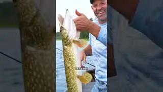 Nandor of the North, A Legacy Property With Private Lake | #shorts #short #realestate #fishing