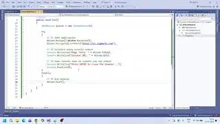 Console Application Flow in Selenium | How Selenium Code Executes