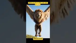 Flying Lion😱😱 #mherasf #tiktok #animals #tiger #lion ##shortfilm #shorts