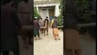 Afghan Taliban #short