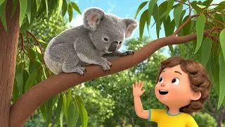 Sleepy Koala Dozed Off on the Tall Tree 🐨 | Nursery Rhymes for Kids
