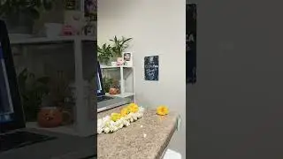 How to make Jasmine jewelry for  Mehandi event #flowers #handmade #craft #diy #youtube #subscribe
