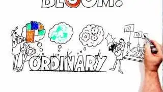 BLOOM! Solar - whiteboard animation