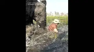 Charging elephant flips safari tour canoe, shoves one person under water