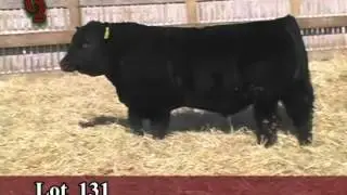 Lot 131 U2 Ranch 2012