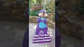 Book Your Next Disney World Vacation with Ear to Ear Magic 🌟