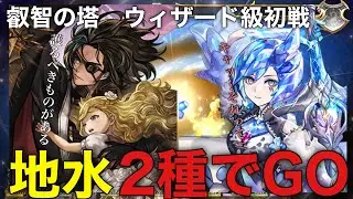 〖アナデン〗叡智の塔　ウィザード級1戦目　水パ・地パ2種紹介