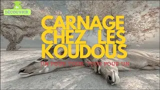 Un pour tous, tous pour un