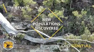 Specialist spatial solution to inspect and survey rare Australian plant species
