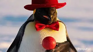 No Magic, All Chaos &mdash; A Penguin&rsquo;s Funniest Magic Show Ever!