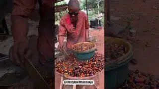 How palm oil is been made. 