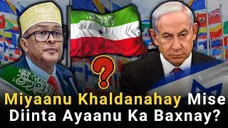 Miyaanu Khaldanahay Mise Diinta Ayaanu Ka Baxnay? Haddii Aanu Dunida Aqoonsi  Ka Raadsano!?