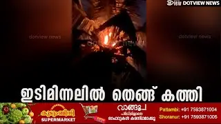ഇടിമിന്നലിൽ തെങ്ങ് കത്തി #coconuttrees #fire #DotView #news