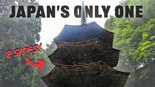 ESCAPE Tokyo's Heat &rarr; Нагано │ Нападение енотовидной собаки?