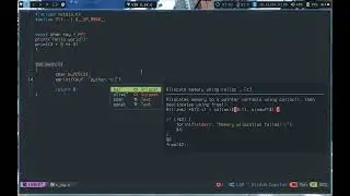 ASMR Fast Coding - Python in C