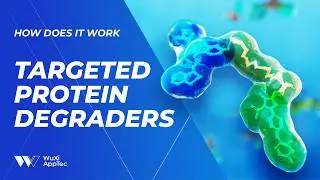 How Does It Work? | Targeted Protein Degraders