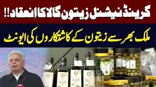Grand National Olive Gala Held | Olive Farmers from Across Pakistan Participate | Hum News