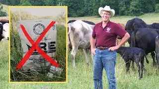 How To Get Started in Food Storage (Joel Salatin and Dr. Sina McCullough)