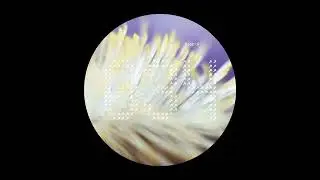 Dimi Angelis - Transmuted