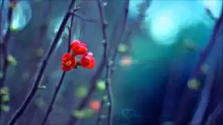 Asonat - On The Other Side