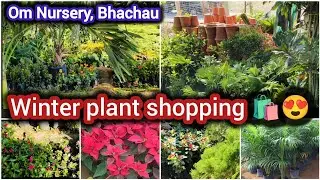 Winter flower plant shopping.🛍️/ Bhachau Om Nursery Visit.//Many varieties of plants.#plantshopping