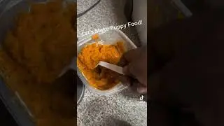 Weaning 3 1/2 Week Old Puppies, Let&rsquo;s Make Lunch!