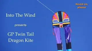 Into The Wind GP Twin Tail Dragon Kite