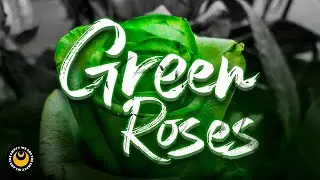 We Are The Empty - Green Roses (Official 3D Lyric Video)