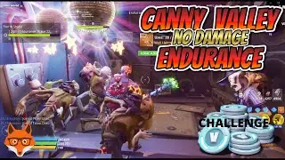 is Canny Valley 0 Damage Endurance Possible? | Fortnite Save The World (STW)