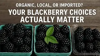 Want More Nutrients, Less Chemicals? Blackberries Have a Peak Time Too