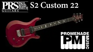 PRS S2 Custom 22 - Overview