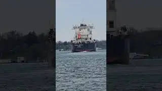 #ALGOMA #INTREPID heading to Lake Huron