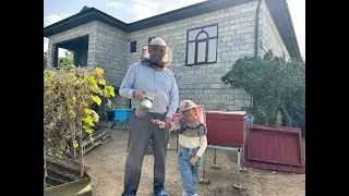 Harvesting Honey: A Glimpse into My Grandfather&rsquo;s Beekeeping Ritual #vitality