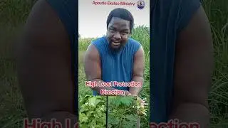 Направление высокого уровня защиты ON One научит вас.