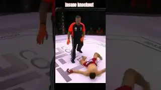 Insane knockout bout ( UFC FIGHTERS) @PowerHandPunch #knockoutbout #insanefight