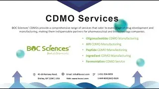 CDMO - Drug Development - Oligonucleotide/APIs/Peptides/ Ingredients/Fermentation - BOC Sciences