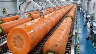 Inside the Factory: How Carrot Juice Bottles Are Made and Filled at Scale (Full Process)