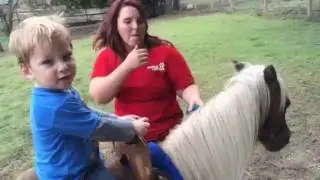 Birthday Pony Ride