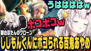 【スト6】ししろんのクローン「ししもんくん」にボコボコにされる百鬼あやめ【切り抜き/獅白ぼたん/ストリートファイター6/ホロライブ】