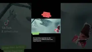 НАСТОЯЩИЙ Мозазавр