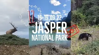 CANAD&Aacute; 12 🇨🇦 | JASPER National Park 🐻 una de cal y otra de arena | LU por el Mundo
