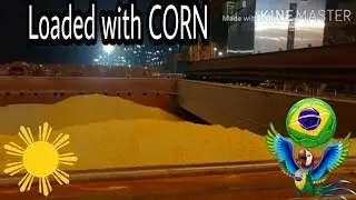 Completion of Loading(Corn)Getting Ready for Sailing / Seaman Vlog